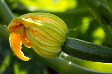 Similar image 8229195