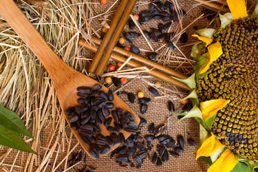 Similar image 8229196