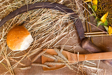 Similar image 8229197