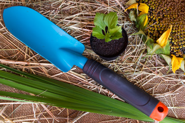 Similar image 8229200