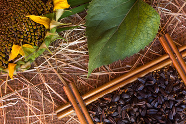 Similar image 8229203