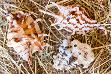 Similar image 8229219