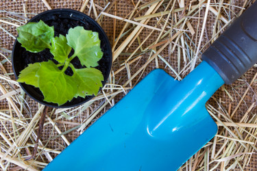 Similar image 8229220