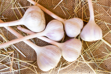 Similar image 8229221