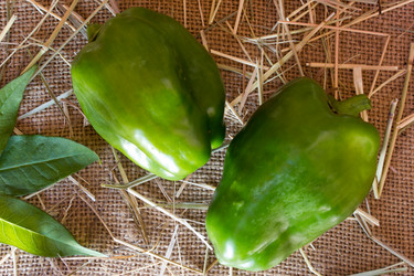 Similar image 8229223