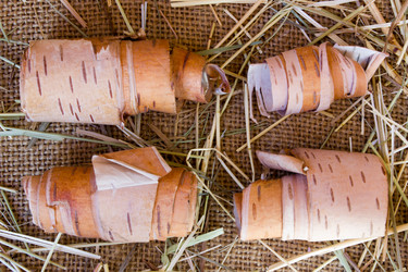 Similar image 8229225