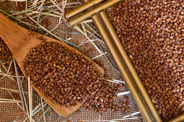 Similar image 8229227