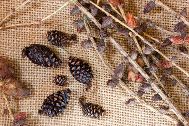 Similar image 8229228