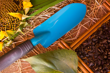 Similar image 8229231