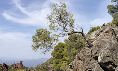 Similar image 8229334