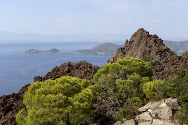 Similar image 8229335