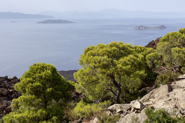 Similar image 8229336