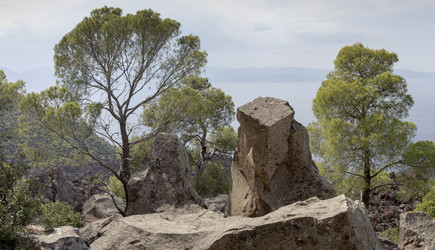 Similar image 8229338