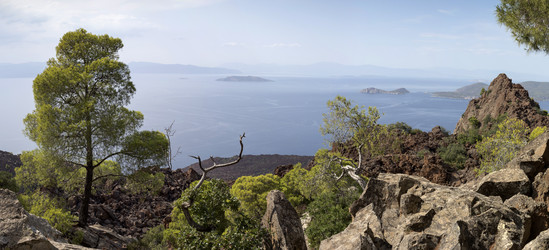 Similar image 8229339