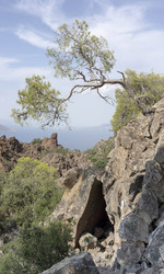 Similar image 8229342