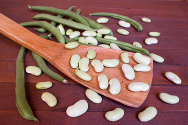 Similar image 8229356