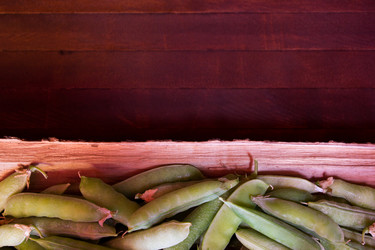 Similar image 8229361