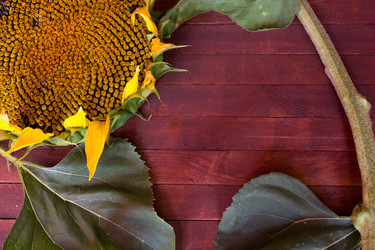 Similar image 8229372