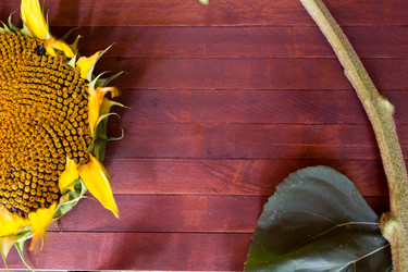 Similar image 8229373