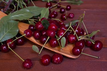 Similar image 8229381