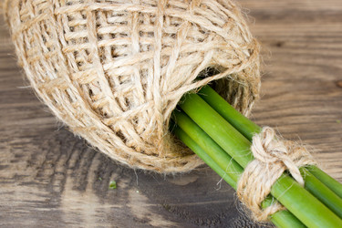 Similar image 8229382