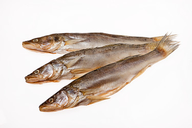 Similar image 8229465