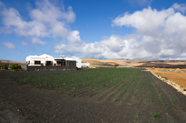 Similar image 8229478