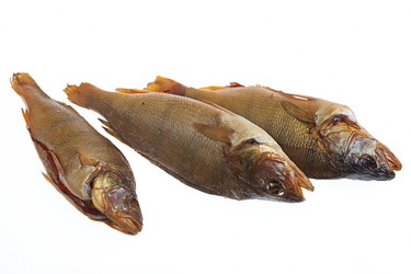 Similar image 8229510