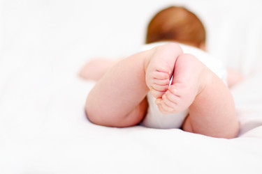 Similar image 8229704