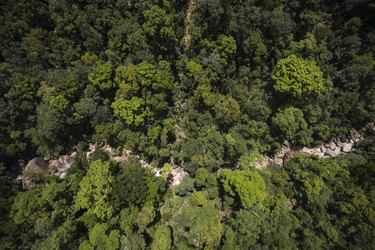 Similar image 8229834