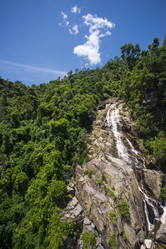 Similar image 8229835