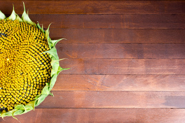 Similar image 8229851