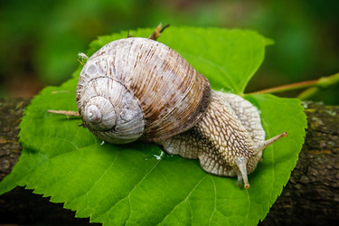 Similar image 8229947