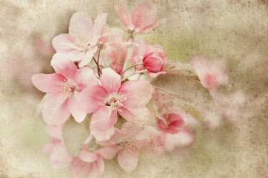 Similar image 8230031