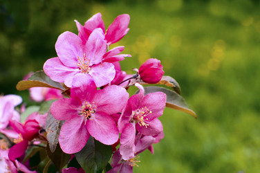 Similar image 8230034