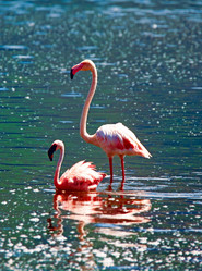 Similar image 8230037