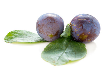 Similar image 8230040