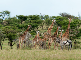 Similar image 8230052