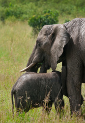 Similar image 8230053