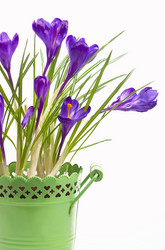 Similar image 8230076