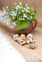 Similar image 8230081