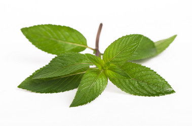 Similar image 8230088