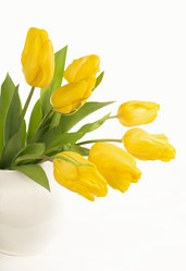 Similar image 8230090