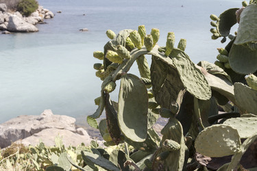 Similar image 8230184