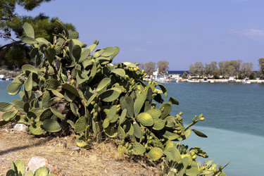 Similar image 8230186