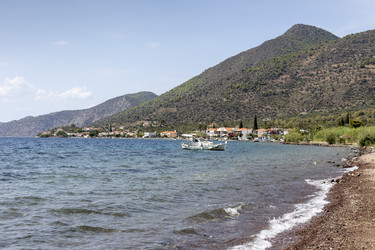 Similar image 8230189