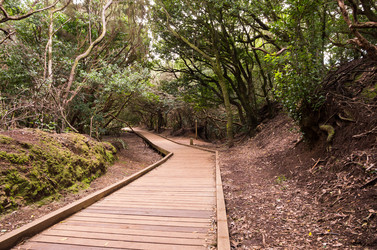 Similar image 8230217