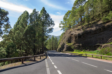 Similar image 8230219