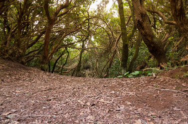 Similar image 8230220