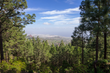 Similar image 8230227